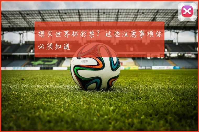 想买世界杯彩票?这些注意事项你必须知道