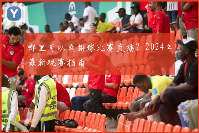 哪里可以看排球比赛直播?2024年最新观赛指南